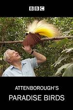 Watch Attenborough's Paradise Birds Movie25