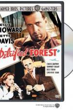 Watch The Petrified Forest Movie25