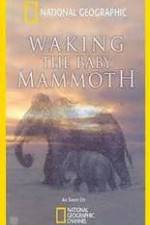 Watch Waking the Baby Mammoth Movie25