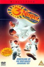 Watch 3 Ninjas Knuckle Up Movie25