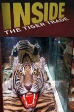 Watch Inside: The Tiger Trade Movie25