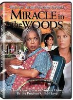 Watch Miracle in the Woods Movie25