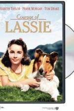 Watch Courage of Lassie Movie25