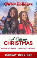 Watch A Sisterly Christmas Movie25