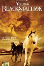 Watch The Young Black Stallion Movie25
