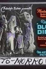 Watch The Blue Bird Movie25