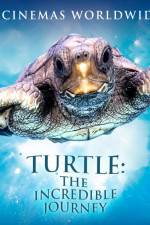 Watch Turtle The Incredible Journey Movie25