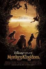 Watch Monkey Kingdom Movie25