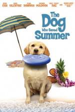 Watch The Dog Who Saved Summer Movie25