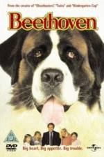 Watch Beethoven Movie25