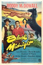 Watch Black Midnight Movie25