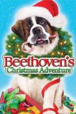 Watch Beethoven's Christmas Adventure Movie25