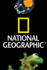 Watch National Geographic Wild Dam Beavers Movie25