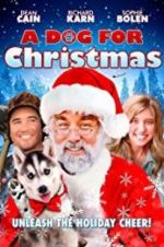 Watch A Dog for Christmas Movie25