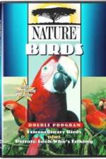 Watch PBS Nature - Extraordinary Birds Movie25