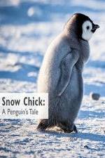 Watch Snow Chick: A Penguin's Tale Movie25