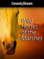 Watch Wild Horses of the Marshes Movie25