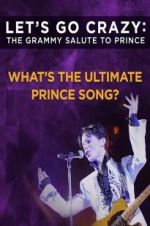 Watch Let\'s Go Crazy: The Grammy Salute to Prince Movie25