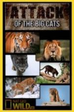 Watch National Geographic Attack Of The Big Cats Movie25