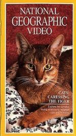 Watch Cats: Caressing the Tiger Movie25
