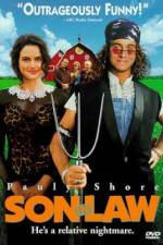 Watch Son in Law Movie25