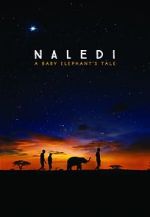 Watch Naledi: A Baby Elephant\'s Tale Movie25