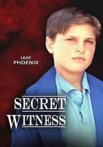 Watch Secret Witness Movie25