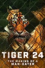Watch Tiger 24 Movie25