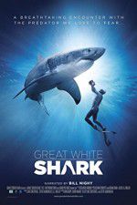 Watch Great White Shark Movie25