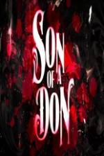 Watch Son of a Don Movie25