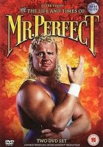 Watch The Life and Times of Mr. Perfect Movie25