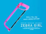 Watch Zebra Girl Movie25
