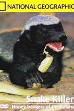 Watch National Geographic: Snake Killers Honey Badgers Of The Kalahari Movie25