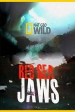 Watch National Geographic Red Sea Jaws Movie25