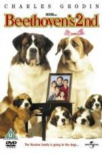 Watch Beethoven's 2nd Movie25