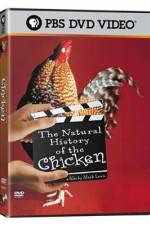 Watch The Natural History of the Chicken Movie25