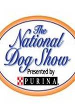 Watch National Dog Show Movie25