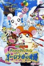 Watch Hamtaro Movie 3: Ham Ham Grand Prix Movie25