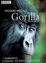 Watch Gorilla Revisited with David Attenborough Movie25