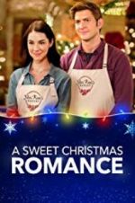 Watch A Sweet Christmas Romance Movie25