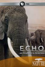 Watch Echo: An Elephant to Remember Movie25
