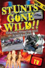 Watch Stunts Gone Wild: Crashes, Smashes & Road Rashes! Movie25