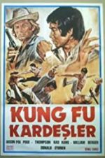 Watch Kung Fu Brothers in the Wild West Movie25