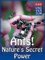 Watch Ants: Nature\'s Secret Power Movie25