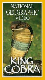 Watch King Cobra Movie25