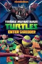Watch Teenage Mutant Ninja Turtles: Enter Shredder Movie25