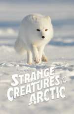Watch Strange Creatures of the Arctic (TV Special 2022) Movie25