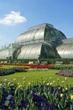 Watch Cruickshank on Kew: The Garden That Changed the World Movie25