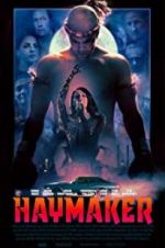 Watch Haymaker Movie25