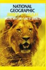 Watch National Geographic: Walking with Lions Movie25